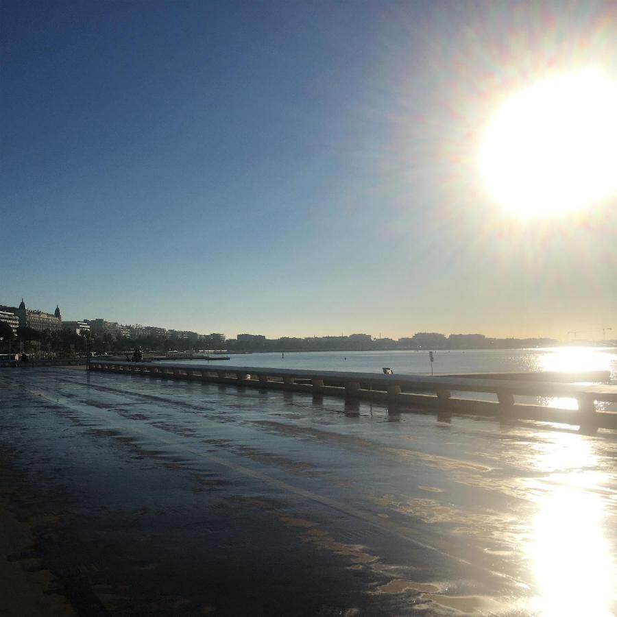T2 Proche De La Gare, A 10 Minutes A Pieds De La Croisette, Piscine & Parking Dans Residence De Haut Standing Cannes Eksteriør bilde